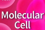 Mol Cell | 解旋酶FANCJ去摺疊DNA-蛋白交聯促進其修復