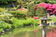 他們風格迥異，卻共同造就了現代日本庭園文化