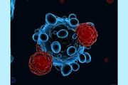 用新冠病毒來治療癌症？研究顯示，新冠刺突蛋白能抑制肺癌發展