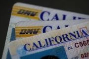 花錢就可買卡車駕照！加州DMV驚天腐敗案，20人被判刑