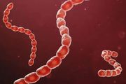 你不知道的事：感染鏈球菌竟有可能導致銀屑病？