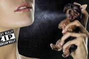 香水對狗有什麼影響？
