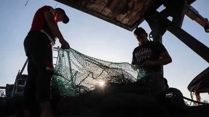 歐盟促進漁業可持續發展