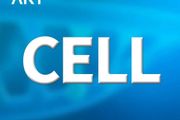 Cell丨病毒感染後所誘導長時程生髮中心的生物學特徵