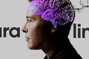 矽谷｜馬斯克旗下Neuralink，6個月內實驗將晶片植入人腦