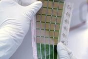 MIT造出薄如紙的太陽能電池板，單位重量發電量提升17倍