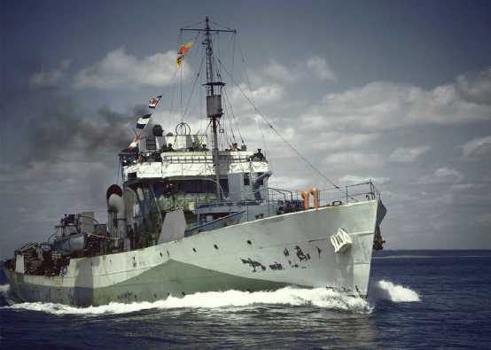 「天芥菜」號輕型護衛艦的繪畫作品，所採用的似乎也是16號迷彩塗裝方案