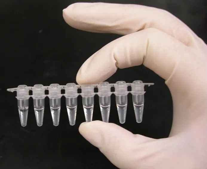 用於批量檢測的PCR八聯排管