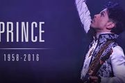 最被低估的電吉他手Prince，專輯銷量1.5億，會27種樂器，到底有多強？