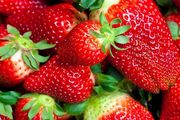 草莓，「最髒果蔬排行榜」第一名？冬天正上市，還能吃嗎？
