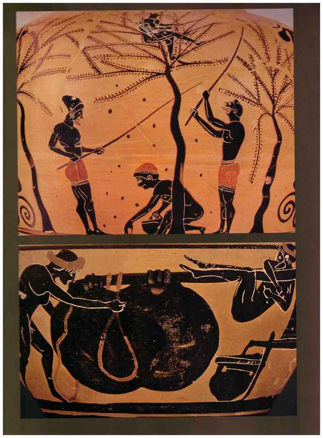 黑陶畫上的古希臘農業場景