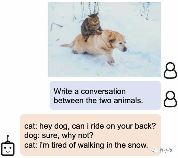 貓: 我已經厭倦了在雪地裡行走