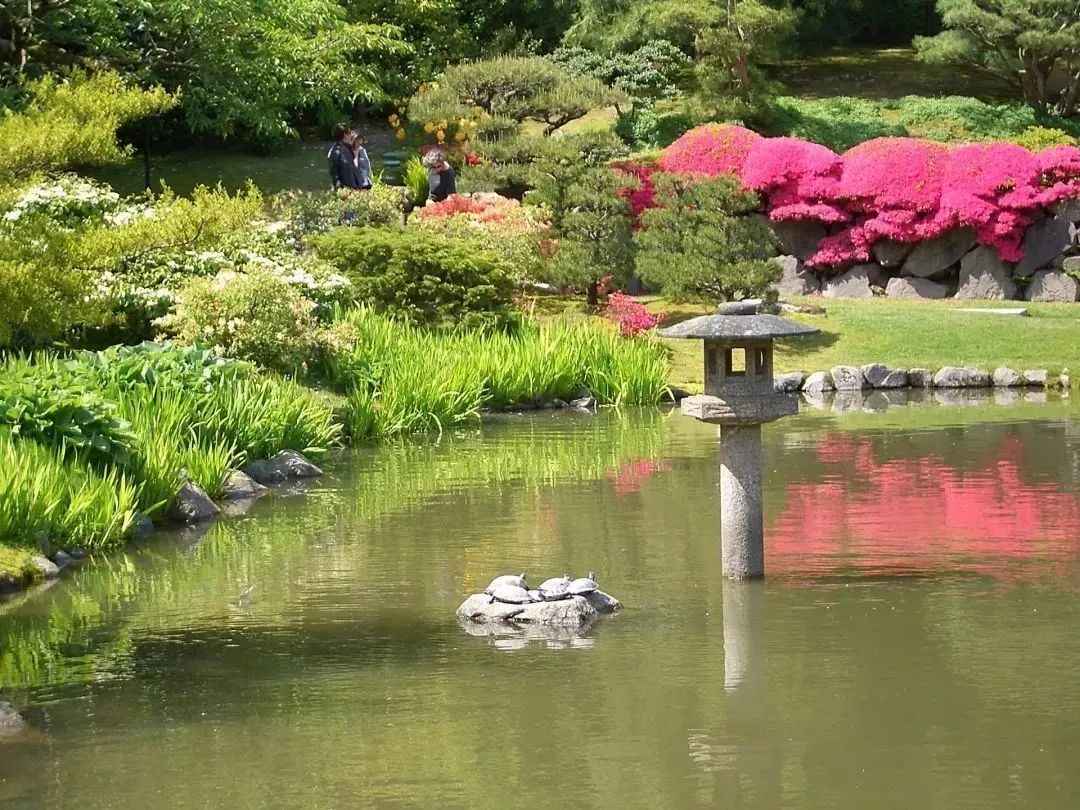 飯田十基在美國西雅圖建造的日本庭園