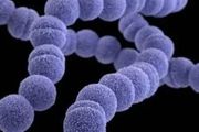 加拿大新疫情爆發，感染人數不斷上升，CDC緊急調查