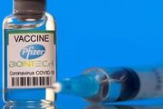 NT次世代疫苗在美爆130例65歲↑腦中風，CDC宣佈可能具安全問題！