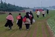 2022/10/30日記：鄭州富士康徒步返鄉員工讓人心痛