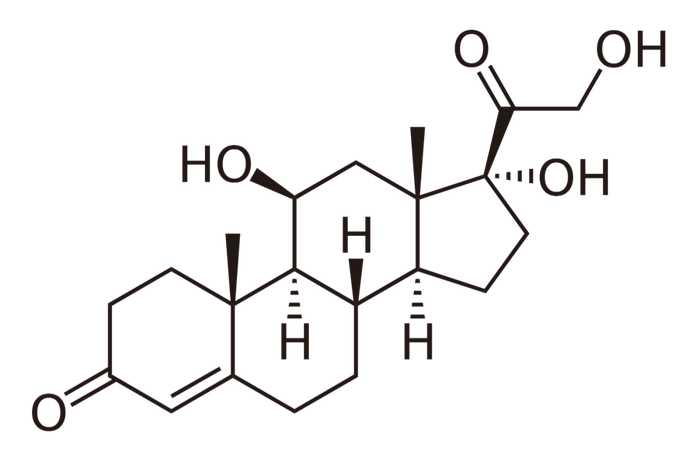 皮質醇的分子結構 來源丨維基百科