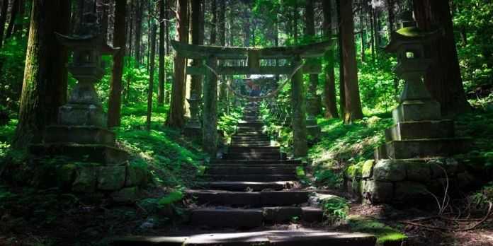 這裡也是日本動畫螢火之森的取景地