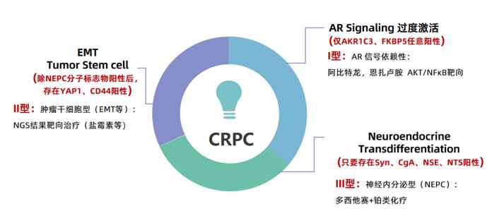 圖4 CRPC分型治療策略