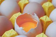 每天堅持吃1個雞蛋，對身體是好是壞？最新研究來了！