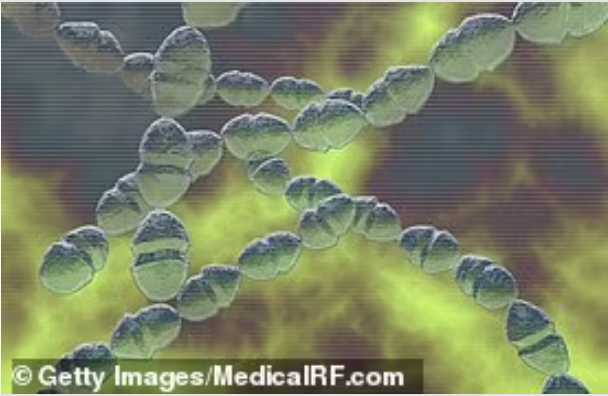什麼是侵襲性A組鏈球菌病？