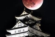 日本442年來首次觀測到血月和月掩天王星現象，是否預示著災難來臨？