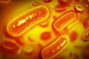 震驚！腸道菌群竟然會致抑鬱！你的腸道有這些細菌嗎？