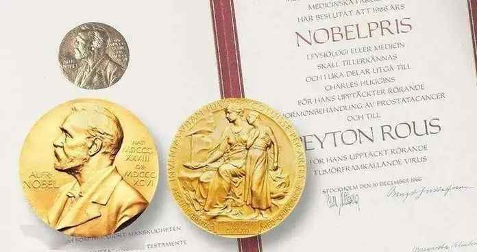 諾貝爾獎的獎牌和證書