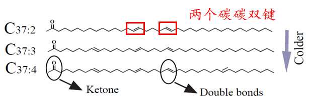 長鏈烯酮分子結構圖