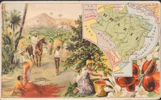 巴西咖啡種植園奴隸制