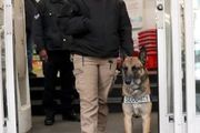 被偷怕了！紐約商家花錢僱警犬巡邏，但有個要求&#8230;