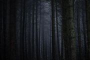 黑暗森林的終結者是區塊鏈嗎？