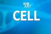 Cell丨小鼠腦衰老的分子和空間特徵