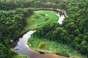 5分鐘了解亞馬遜雨林：為何它是「地球之肺」？