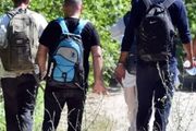 奧地利將加速驅逐非法移民！