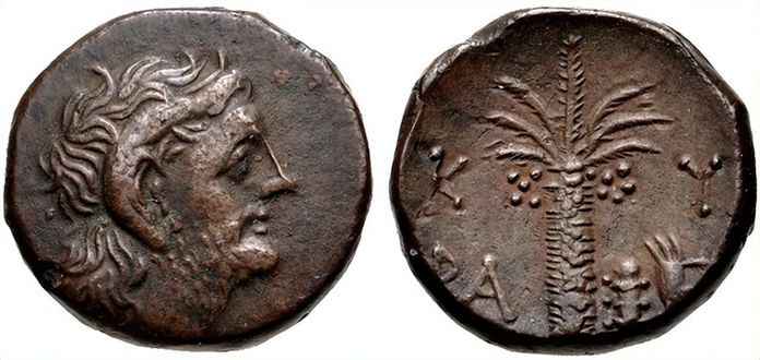 昔蘭尼加城邦發行的希臘貨幣，背面是當地特產的一種草藥，也是昔蘭尼的城徽