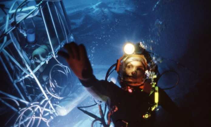 「深淵模擬的深海鏡頭」