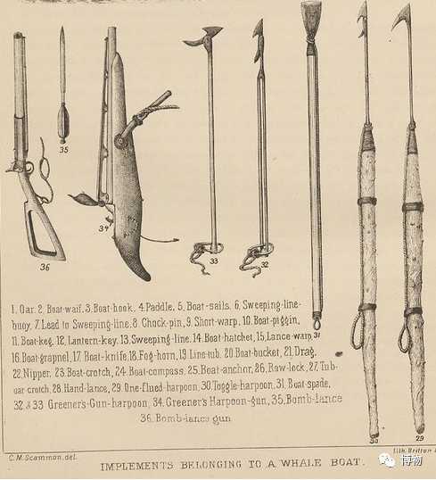 19世紀書籍中記錄的各式捕鯨工具