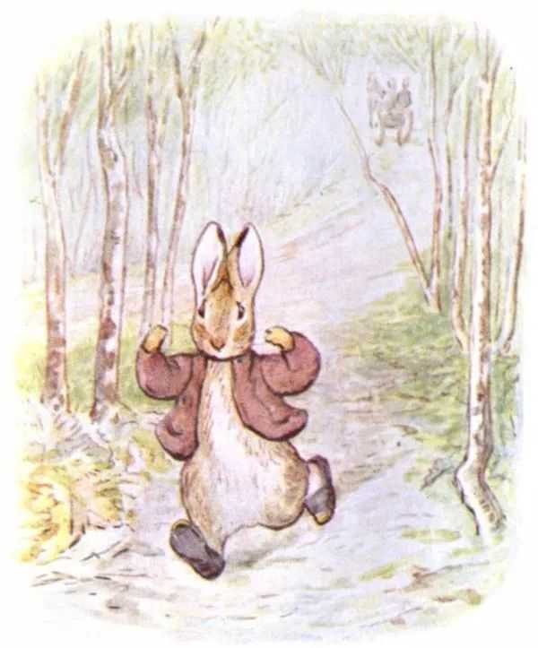 繪本小兔本傑明的故事
