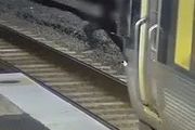 澳洲男子縱身跳到行駛中的火車前！原因竟是…