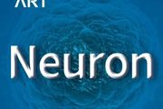 Neuron | 馬秋富實驗室發現選擇性地傳遞情感性內臟疼痛的脊髓通路