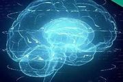 Transformer模仿大腦，在預測大腦成像上超越42個模型，還能夠模擬感官與大腦之間的傳輸